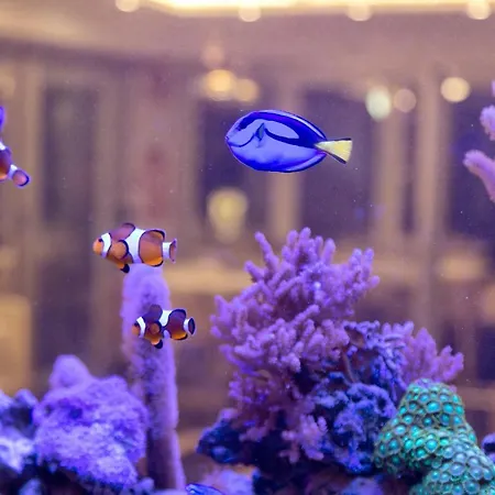 Szálloda Feldberg Riccione